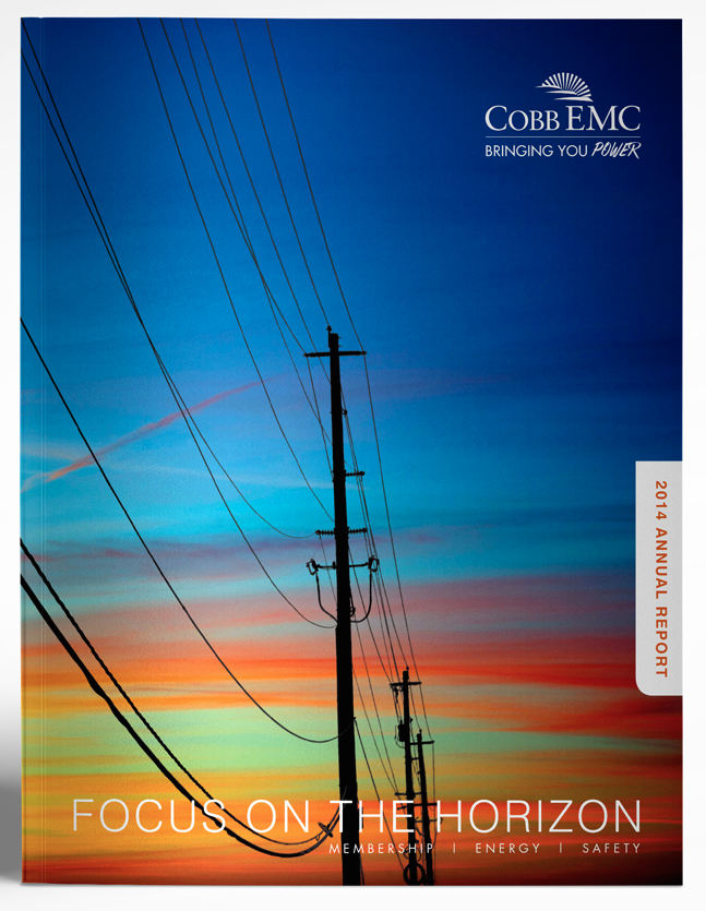 Cobb EMC Focus on the Horizon