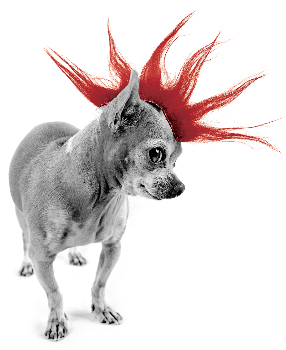 GettyImages-183433366_BW_RED_3