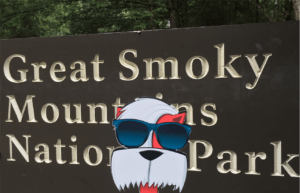 Moppy Smokey