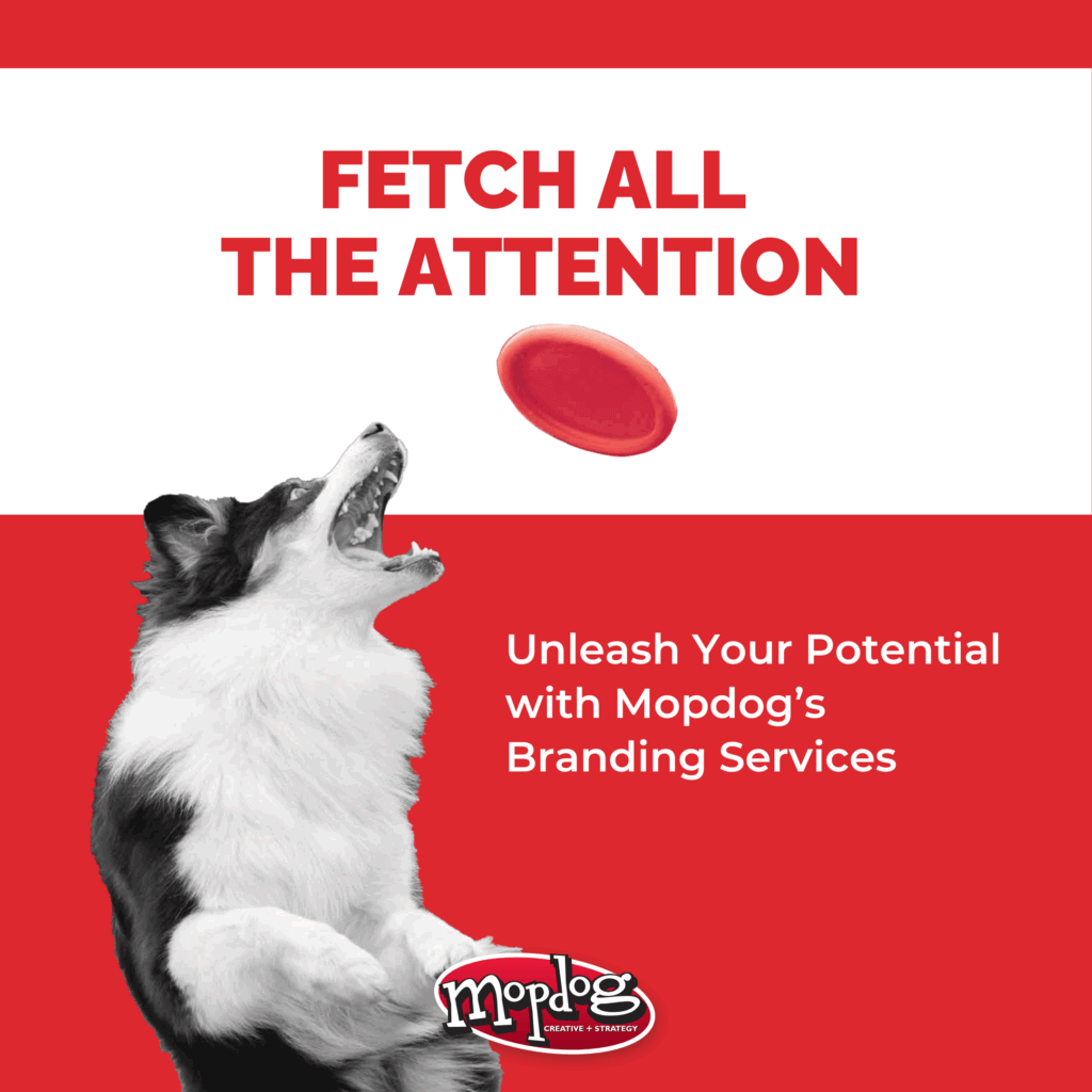 Branding Services