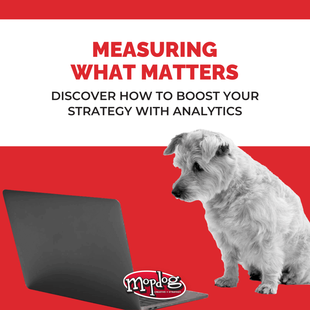 analytics